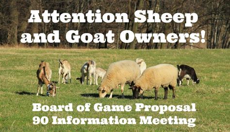 attention sheep and goats tag number